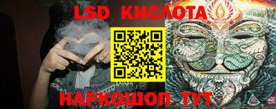 прущие грибы Тулун