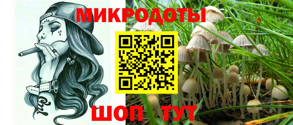 где найти наркотики  Вход с VPN  Белово  Галлюциногенные грибы Magic Shrooms  Галлюциногенные грибы Psilocybe 